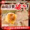 澎湖鍾記燒餅(全素)(9/18中午11點收單)
