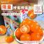 【美濃李爸特甜橙蜜番茄】(本檔12月起陸續出貨)年前出貨檔