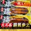 真正外銷日本《蒲燒白鰻魚》286g特價檔