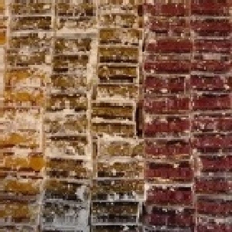 桂花夾心糕~綜合口味 一盒11塊裝(綜合紅豆.綠豆.芋頭.雪蓮子)