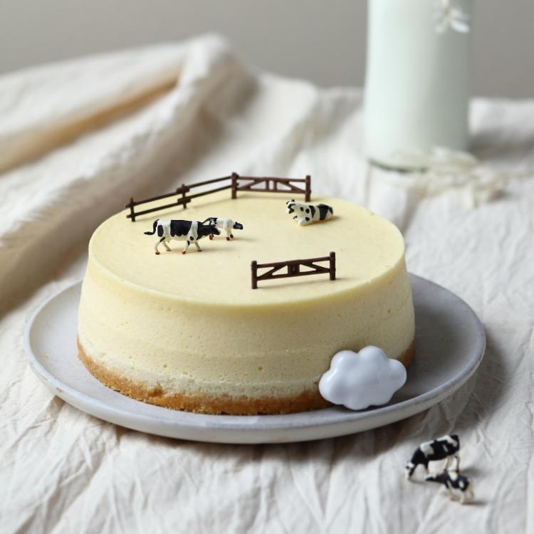 【水母吃乳酪】生乳酪蛋糕-蔓越莓/藍莓or乳酪蛋糕-原味/巧克力/檸檬/抹茶 任選