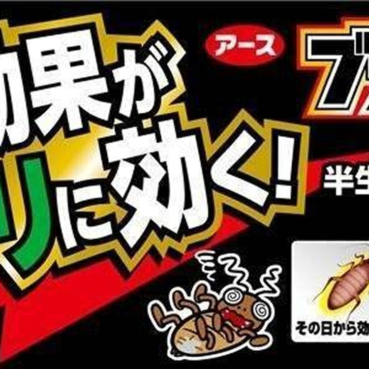 日本製 小黑帽蟑螂退治