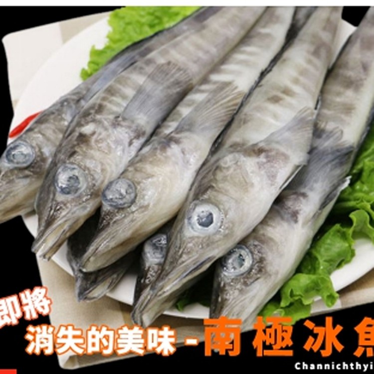 南極冰魚110G/包+-20G