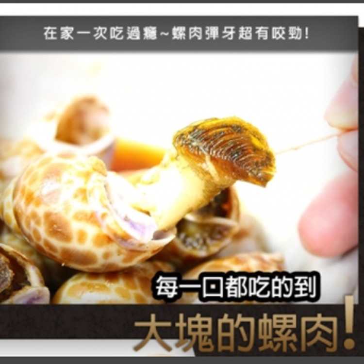 鮮凍鳳螺一公斤 (約40~70顆之間