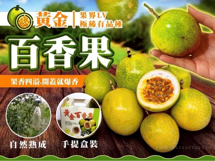 阿里山下的黃金百香果