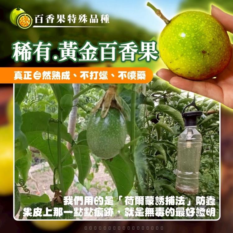 阿里山下的黃金百香果