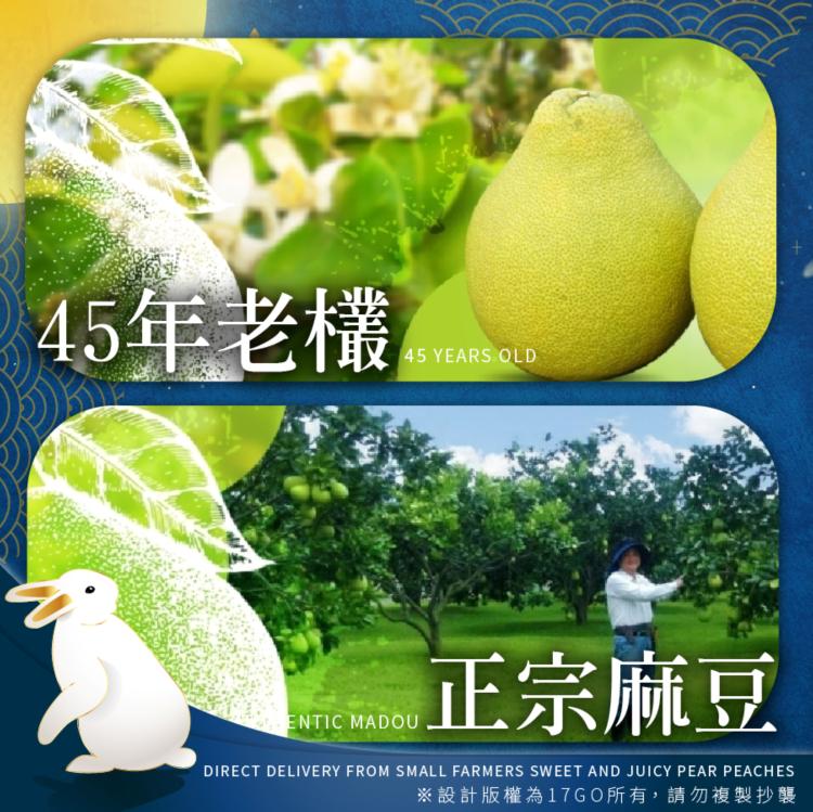 2026【麻豆李清泉-45年老欉頂級文旦禮盒】