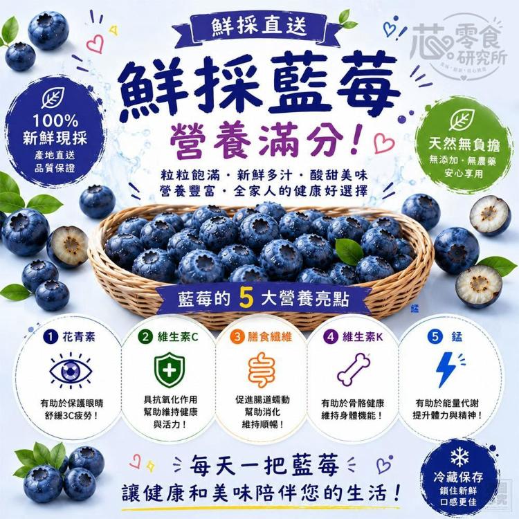 零食研究所-凍乾藍莓脆脆球