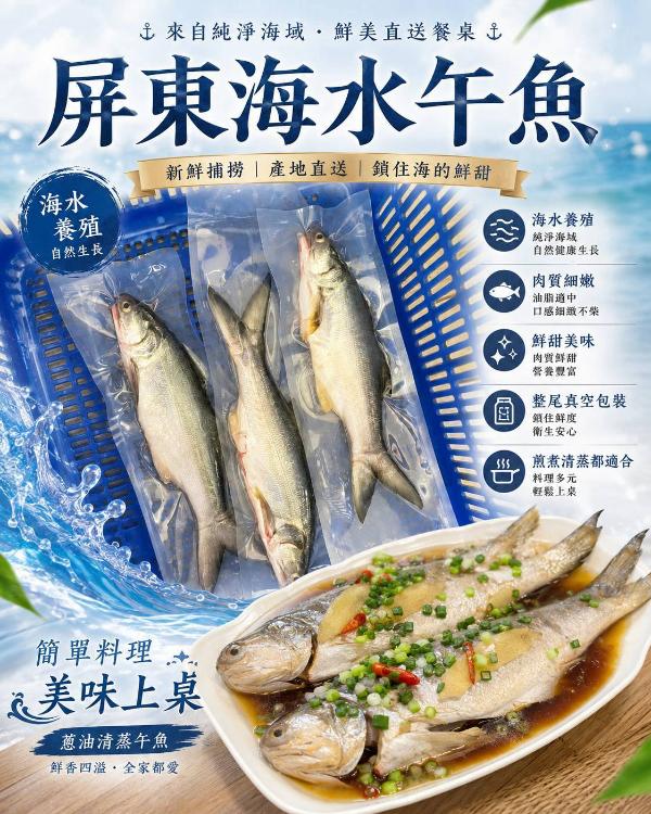 三去屏東海水午魚