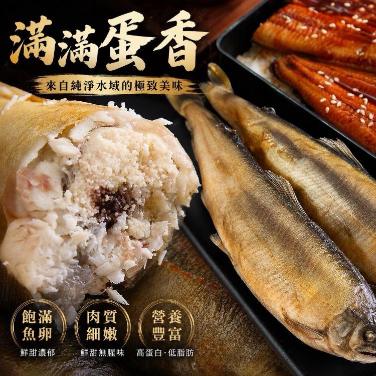 爆蛋母香魚500g(特價衝量檔)