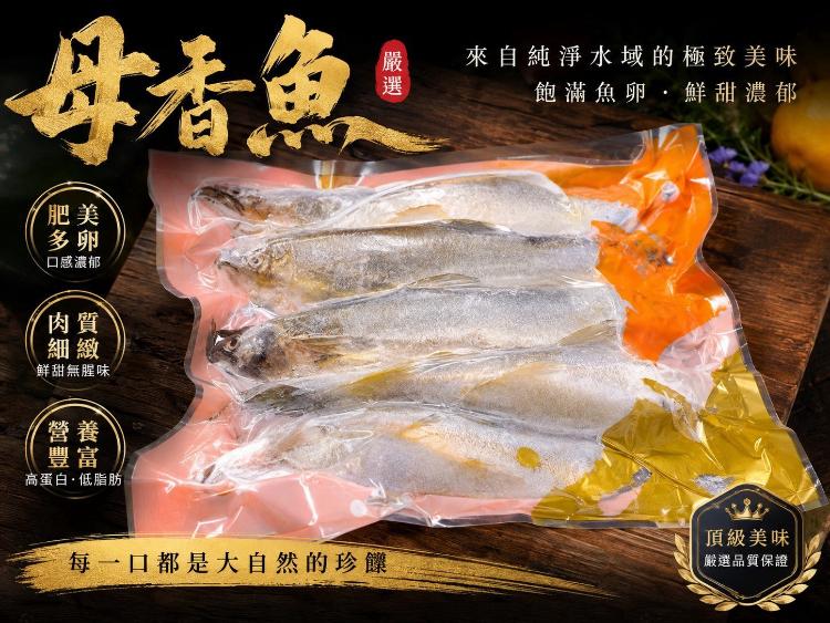 爆蛋母香魚500g(特價衝量檔)