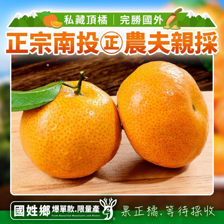2026【南投正宗砂糖橘】3.5斤