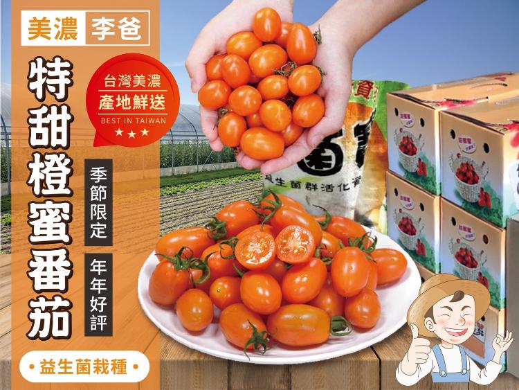 【美濃李爸特甜橙蜜番茄】(本檔12月起陸續出貨)年前出貨檔