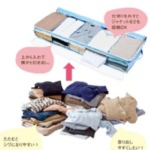 2172 創意新款～節約空間床下用衣服分隔收納包/衣物收納袋
