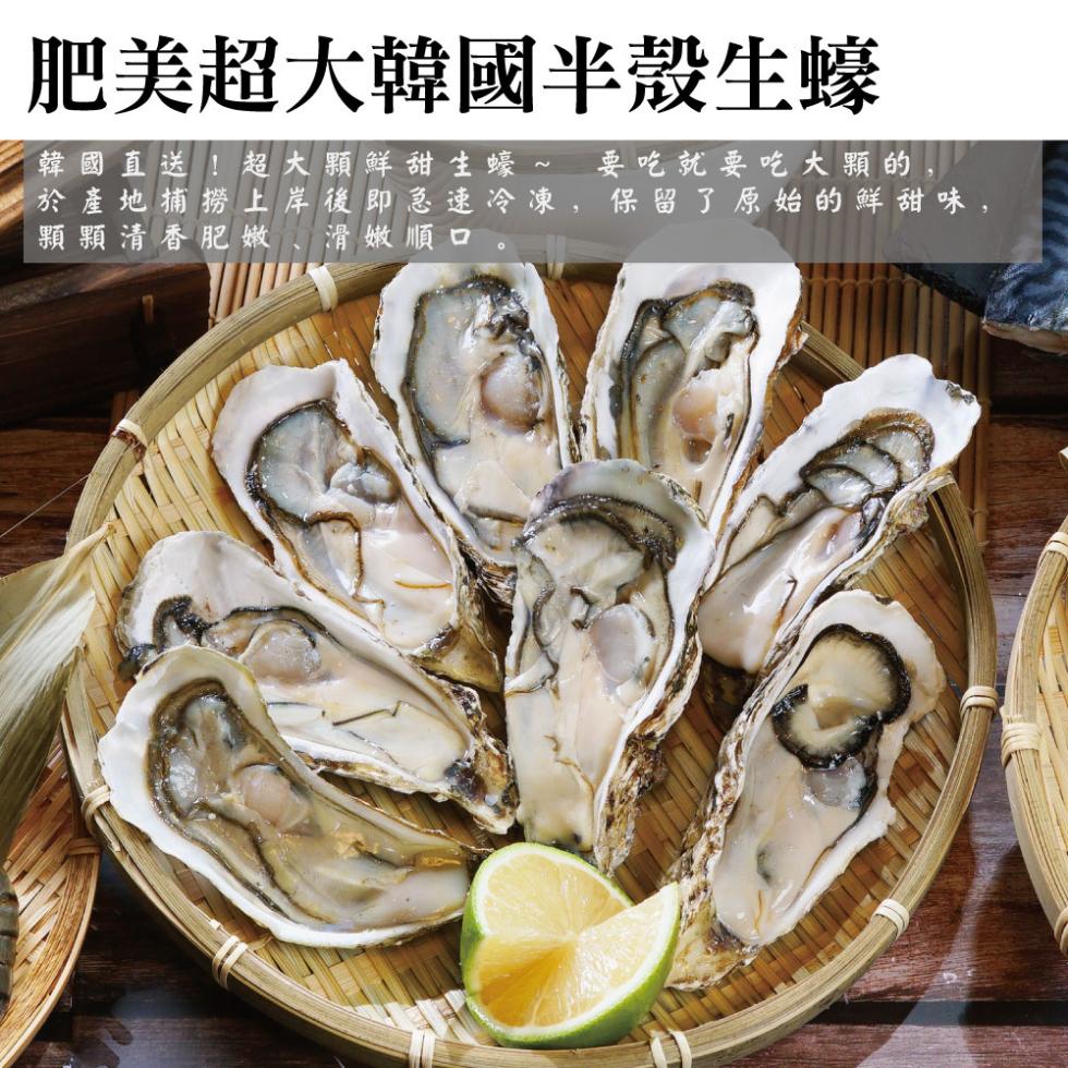 肥美超大韓國半殼生蠔，韓國直送!超大顆鮮甜生蠔~ 要吃就要吃大顆的,於 產 地 捕撈上岸後即急速冷凍,保留了原始的鮮甜味,顆顆清香肥嫩 滑嫩順口。