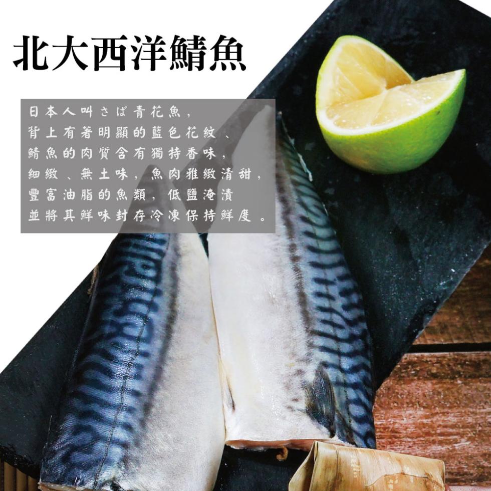 北大西洋鯖魚，日本人叫店沭青花魚,背上有著明顯的藍色花紋，鯖魚的肉質含有獨特香味,細緻 無土味,魚肉雅緻清甜,豐富油脂的魚類,低鹽淹漬，並將其鮮味封存冷凍保持鮮度。