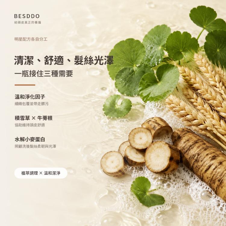 【BESDDO】蓓淨角質淨化髮浴｜去屑控油洗髮精推薦