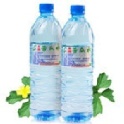 易園絲瓜水-1 瓶（磁化）