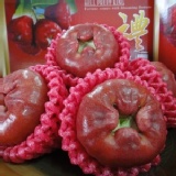 《蓮霧王》黑珍珠蓮霧5斤禮盒 特價：$389