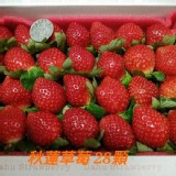 大湖草莓 28顆/盒