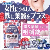 日本 ORIHIRO 系列