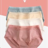 純棉抗菌蕾絲內褲2入