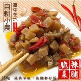 臺中在地自耕小農 脆辣菜脯