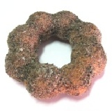 黑芝麻波提 專案促銷專區