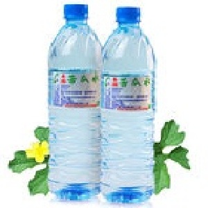 易園絲瓜水-1 瓶（磁化）