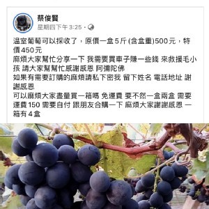 溫室葡萄5斤(含箱重)