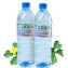 易園絲瓜水1 瓶 + 磁化絲瓜水1 瓶