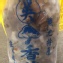 新鮮香菇標準包裝(小朵)約5台斤(3公斤)