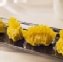 咖哩雞肉餃curry chicken dumpling
