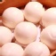 黃金奶皇包Sweet Cream Buns