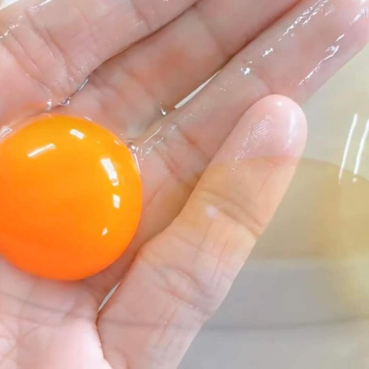 人道飼養天然初生蛋