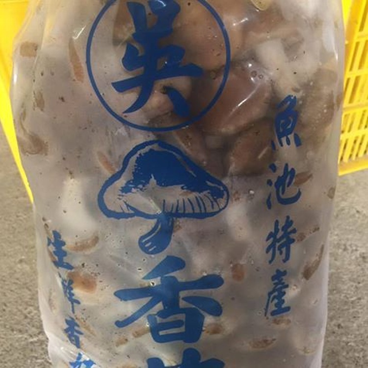 新鮮香菇小包裝(混大中小香菇)1台斤(600克)小包裝