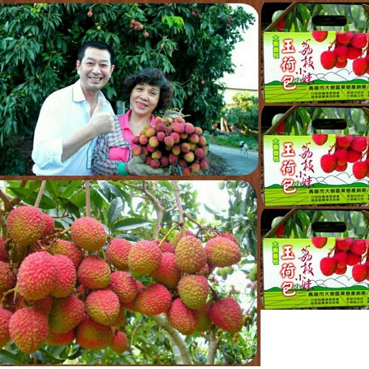 玉荷包荔枝大樹特色特產，母親節後端午節， 優質推薦超好吃人氣水果禮盒