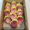 水蜜桃禮盒-10粒裝