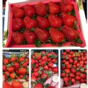 🍓草莓3號