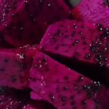 紅肉火龍果(箱購)