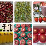 🍎日本青森蜜富士蘋果