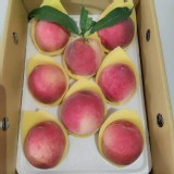 水蜜桃禮盒-8粒裝