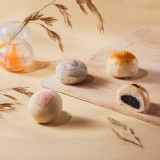 12入禮盒
