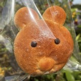 小熊🐻紅豆麵包