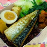 薄鹽炙烤鯖魚餐盒