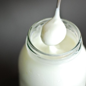 家庭號頂級優格-原味 (無糖)