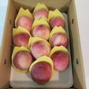水蜜桃禮盒-10粒裝