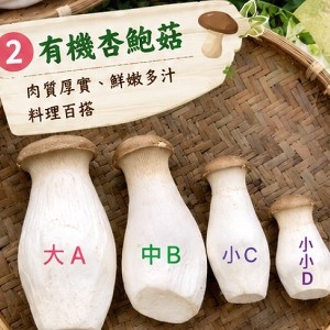 有機杏鮑菇(D級-3000g)