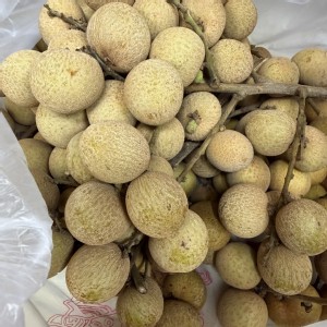 龍眼