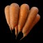 胡蘿蔔(1斤裝，合作)